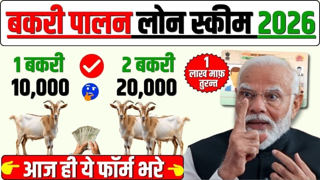 Bakri Palan Loan Yojana 2026